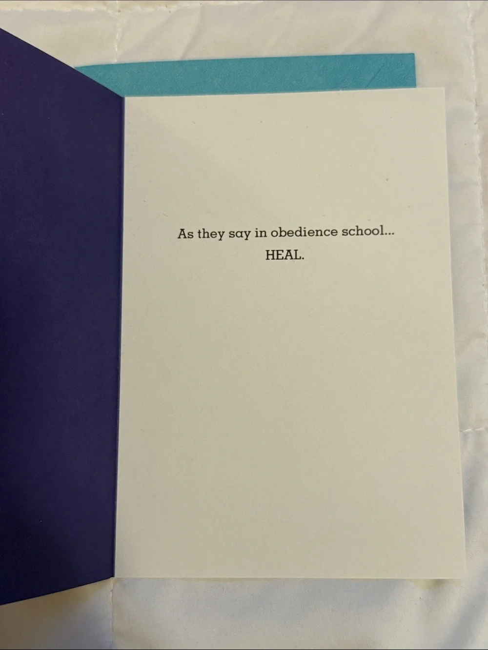 🌻 Bundle of 2 Shoebox by Hallmark Cards